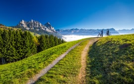 Copyright: <a href='https://de.123rf.com/profile_gevision'>gevision</a>