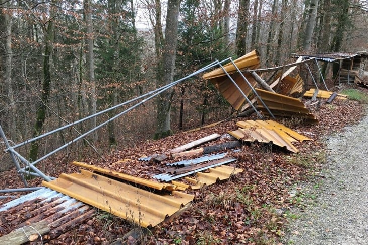 Holzstand vom Sturm verwüstet